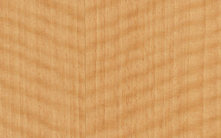 Veneer Tech SC40PH048096V0A10, Walnut Wood Veneer Plain Sliced 10